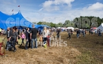 Guernsey Festival_Scene 2012-78