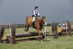 BVHT 140517  NXC -205