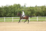 SBM_001651