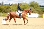 SBM_000591