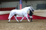 SBM_23025