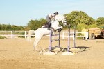 SBM_003393