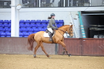 SBM_001483