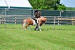 SBM_05803