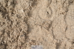 250613A-082344-00941