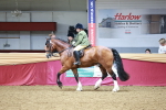 SBM_03616