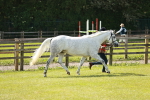 SBM_01712