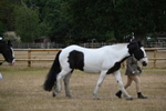 WJ6_7839