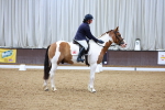 SBM_001596