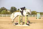 SBM_03873