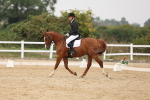 SBM_01548