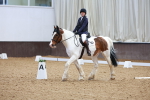 SBM_000423