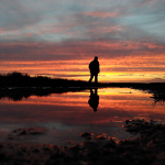 PhotoMynottART065