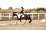 SBM_001506