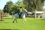 SBM_37379