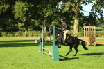 SBM_36320