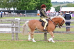 SBM_08542