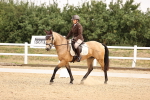 SBM_006442