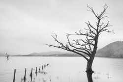 Left in Ullswater - Lake District