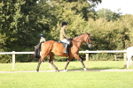 SBM_26340