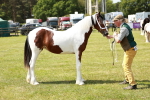 SBM_04187