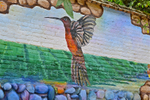 Now that's what I call graffiti!