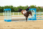 SBM_001070