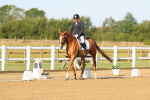SBM_010504