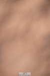 240505A-180918-07517