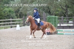 BPP_8870