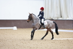 SBM_000755