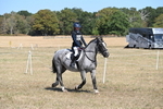 WJ6_9187