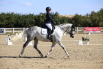 SBM_013146
