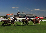 A Day at York Races
