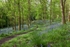 Along the Winding Path