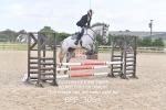 CLASS 1 Club/ Unaffiliated 80cms Open portfolio