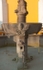 San Juan Evangelista (parish church), fountain