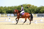 SBM_009587
