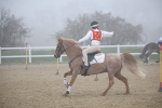 SBM_000979