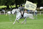 SBM_46907