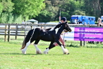 SBM_10061