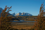 Chile portfolio