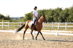 SBM_007789