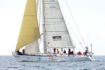 210703 CATZERO GBR2289L 5T7A9672
