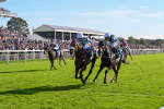 Race 3 Coral 'Daily Reward Shaker' For Free Nursery Handicap at York portfolio