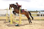 SBM_027019