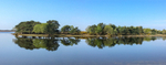 Hatchett Pond panorama