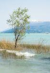 Lake Garda-26