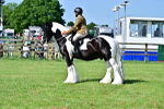SBM_12181