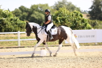 SBM_009234